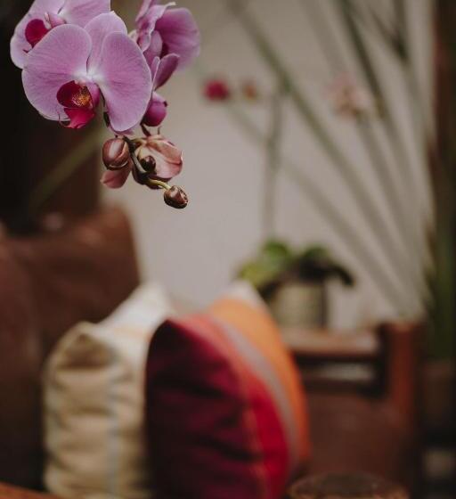 Отель Docecuartos