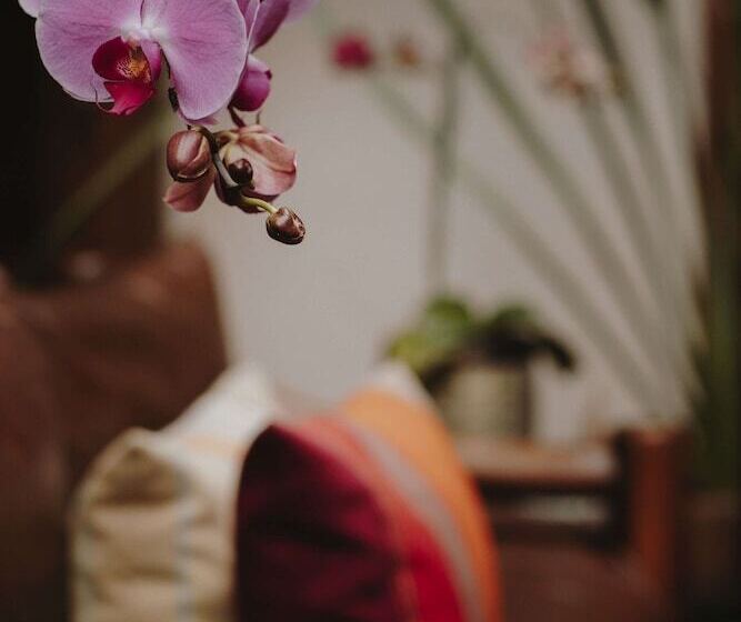 Отель Docecuartos