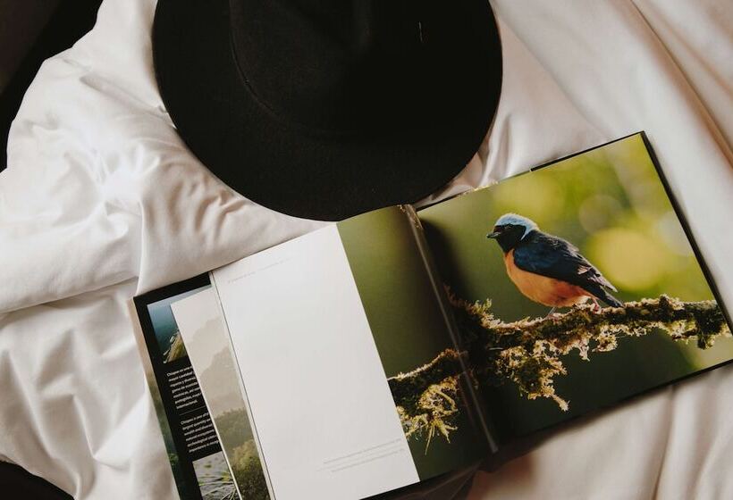 ホテル Docecuartos