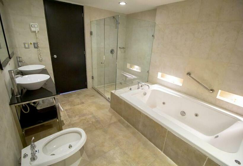 Отель El Español Paseo De Montejo