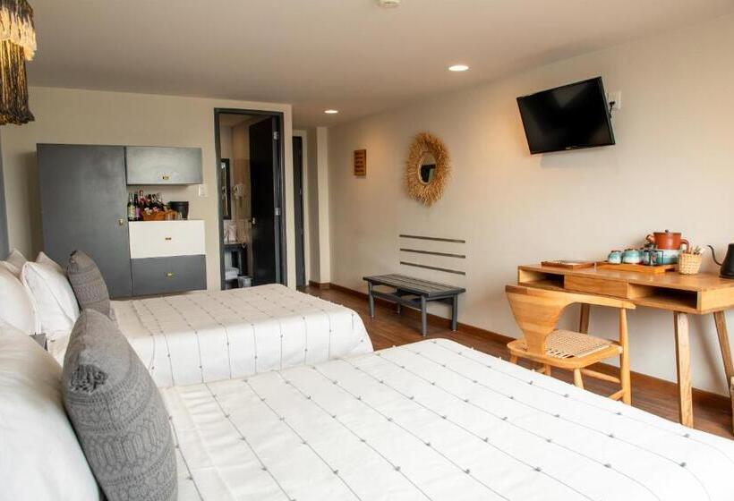 Отель Fontan Reforma Centro Historico