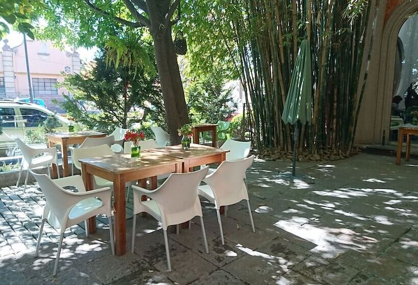 בית מלון כפרי Gobernador