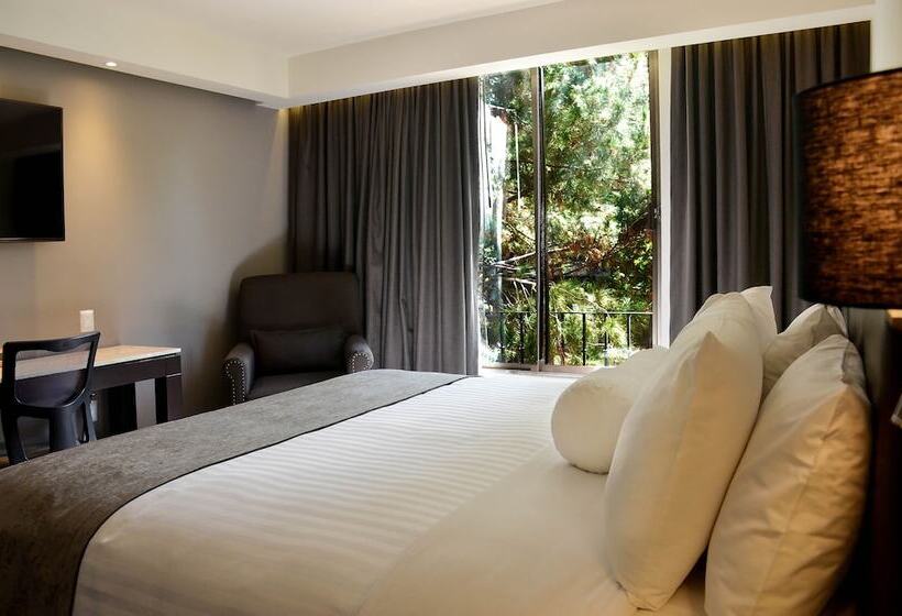 בית מלון כפרי Gobernador