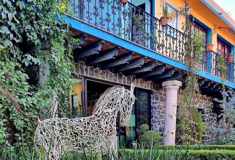 酒店 Hacienda De Las Flores