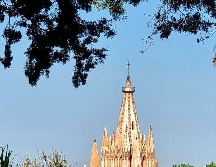 هتل Hacienda De Las Flores