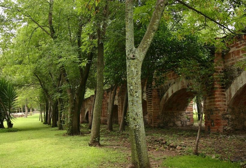 Отель Hacienda Jurica By Brisas