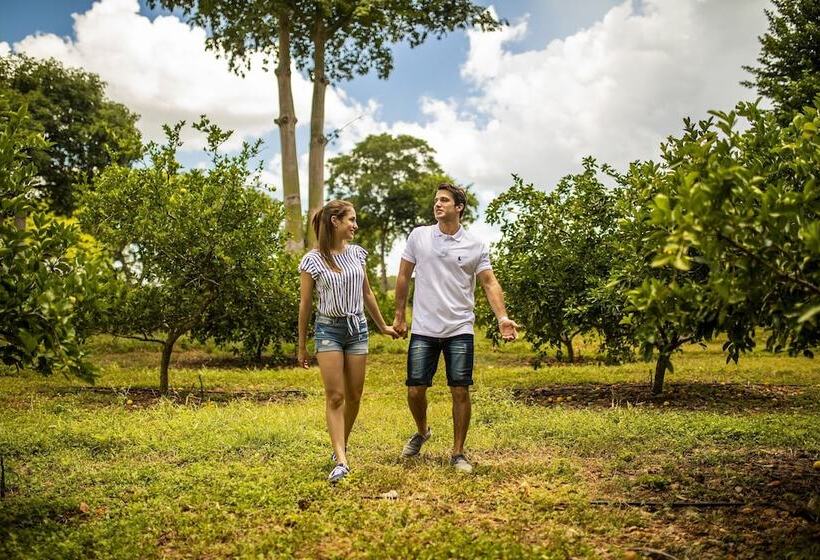 فندق Hacienda Uxmal Plantation & Museum