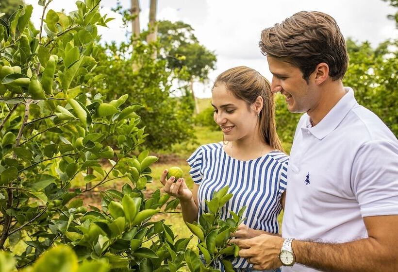 فندق Hacienda Uxmal Plantation & Museum