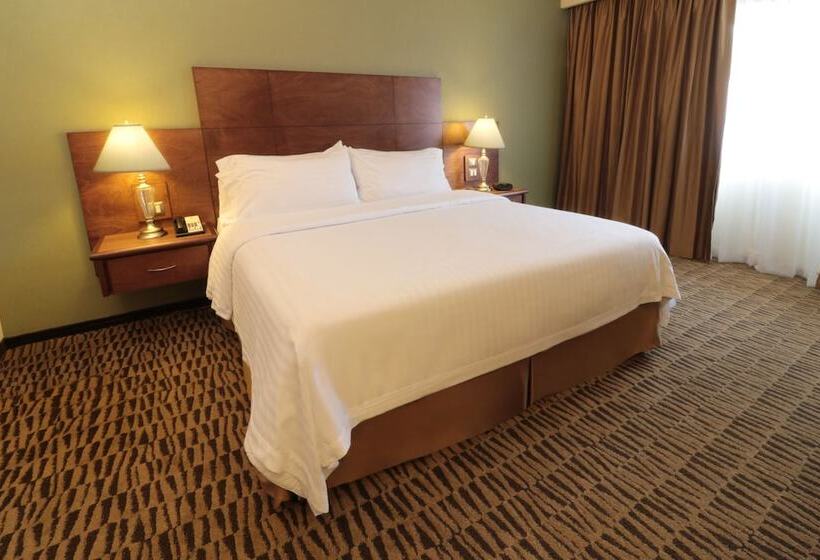 ホテル Holiday Inn Monterrey Norte, An Ihg