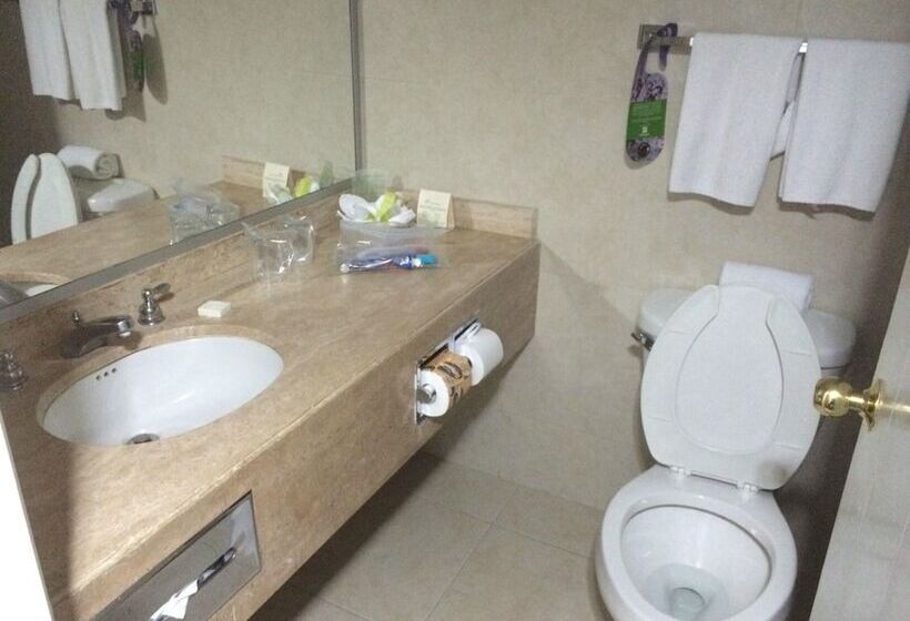 ホテル Holiday Inn Monterrey Norte, An Ihg