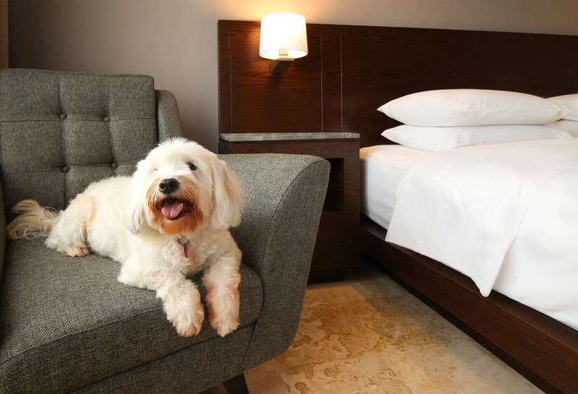 Отель Hyatt Regency Villahermosa