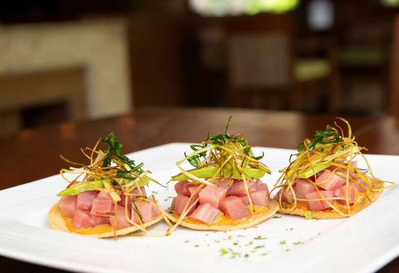 Отель Hyatt Regency Villahermosa