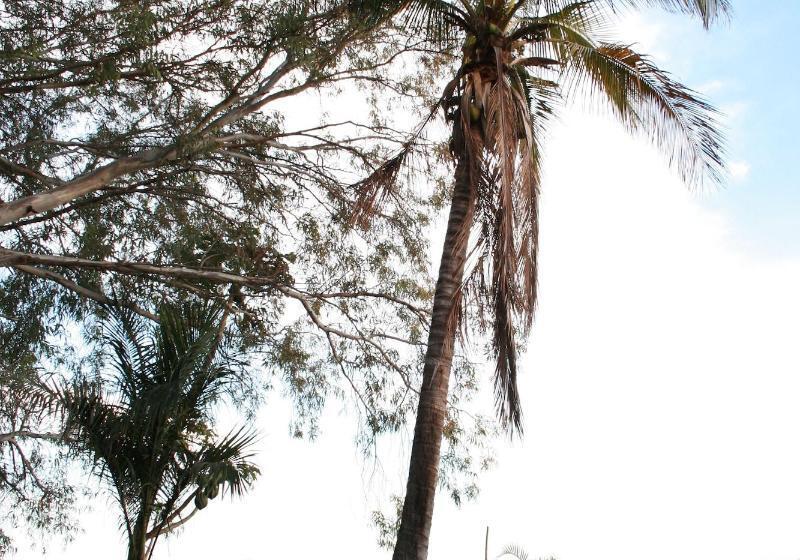 فندق La Nueva Posada