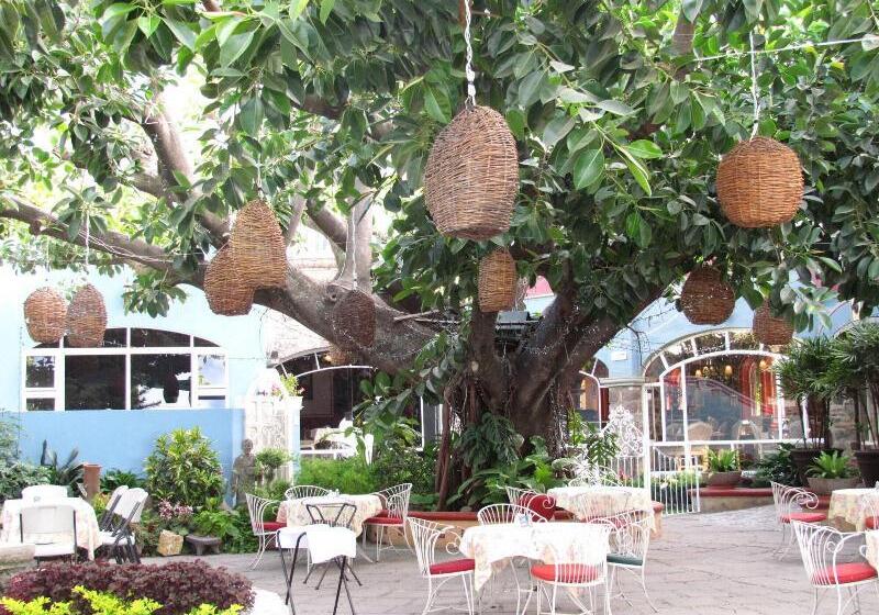 فندق La Nueva Posada