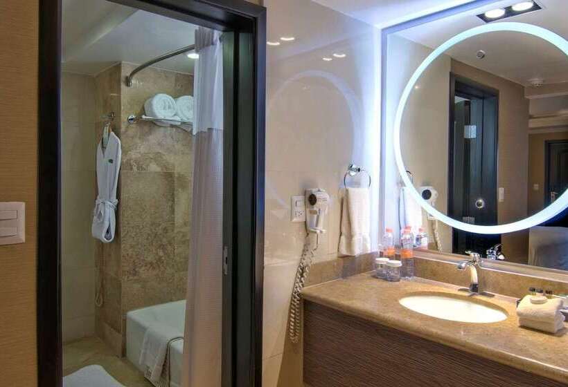 호텔 Lucerna Mexicali