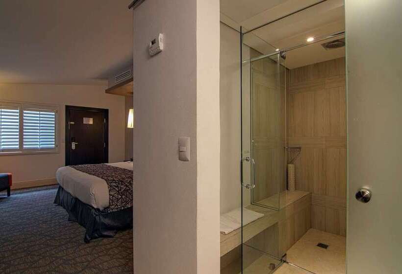 호텔 Lucerna Mexicali