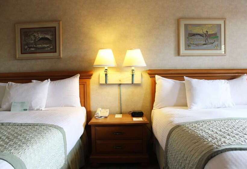 호텔 Lucerna Mexicali