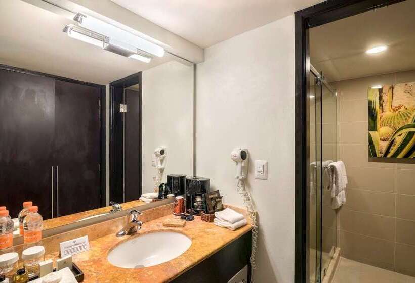 בית מלון כפרי Lucerna Tijuana