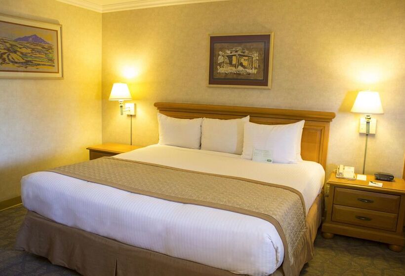 בית מלון כפרי Lucerna Tijuana