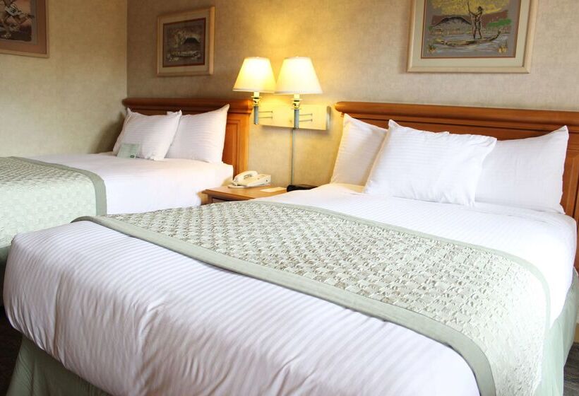 בית מלון כפרי Lucerna Tijuana