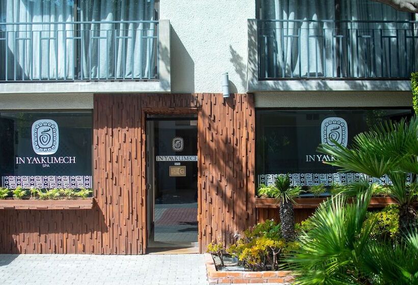 בית מלון כפרי Lucerna Tijuana