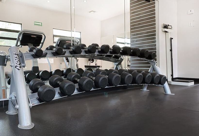 בית מלון כפרי Lucerna Tijuana