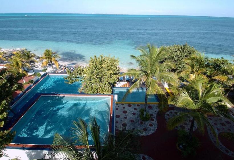 호텔 Maya Caribe Faranda Cancun