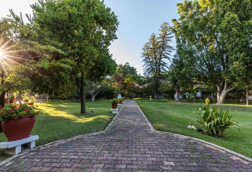 هتل Mision De Los Angeles