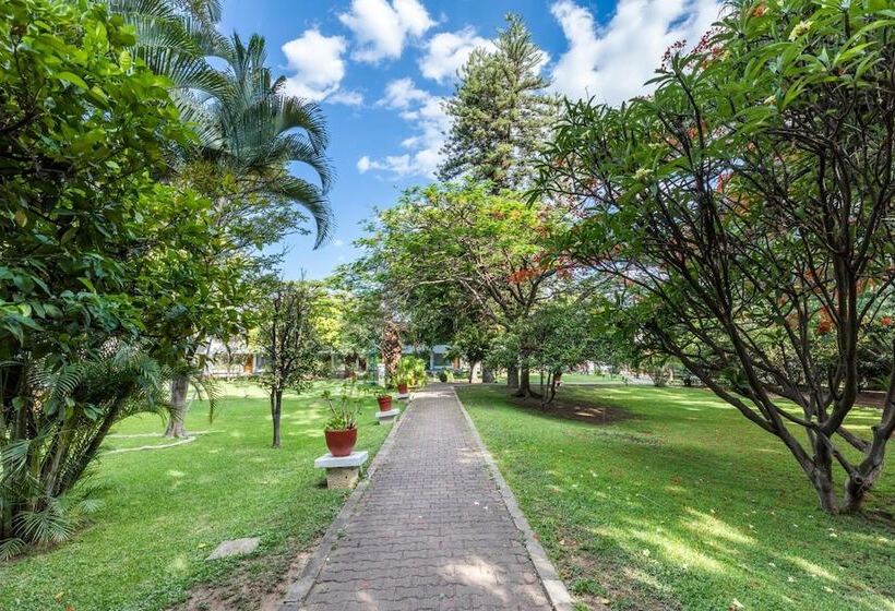 فندق Mision De Los Angeles