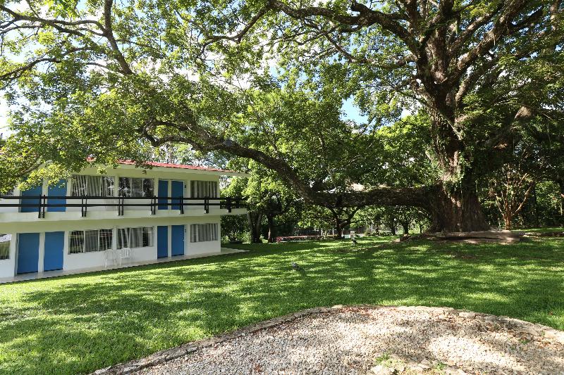 ホテル Mision Palenque