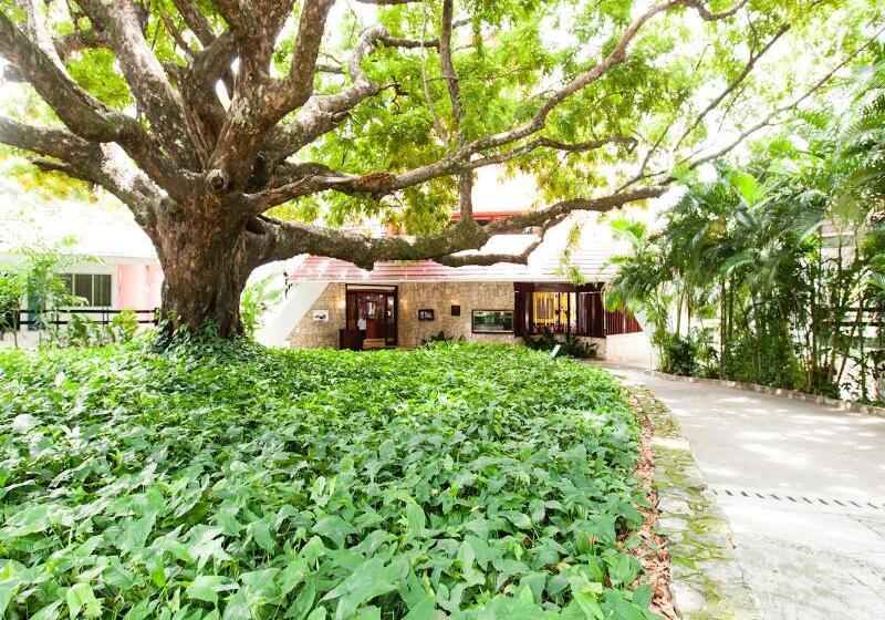 ホテル Mision Palenque