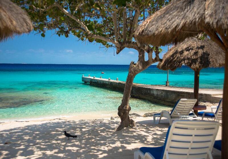 ホテル Playa Azul Cozumel