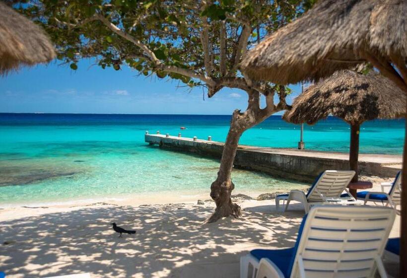 ホテル Playa Azul Cozumel