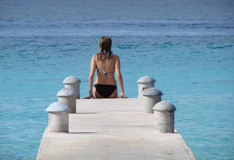 ホテル Playa Azul Cozumel