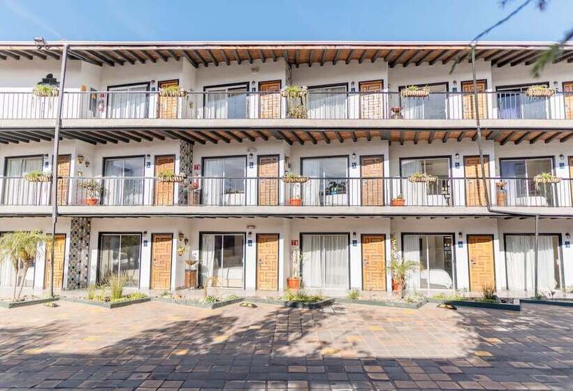 酒店 Posada El Rey Sol