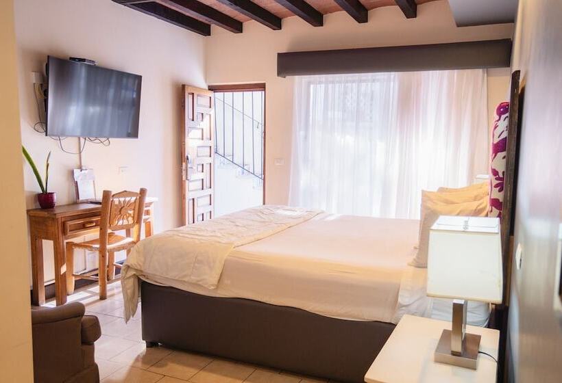 酒店 Posada El Rey Sol