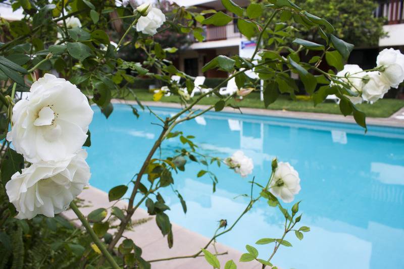 בית מלון כפרי Puerta Del Sol Guadalajara