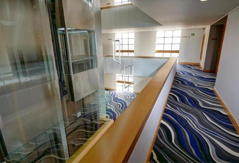 Отель Royal Reforma