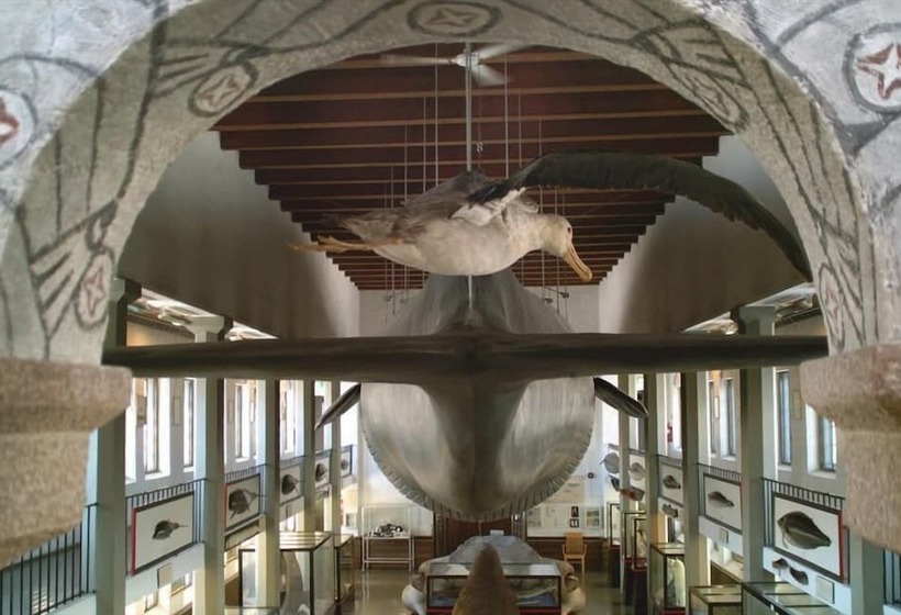 호텔 Scandic Park Sandefjord