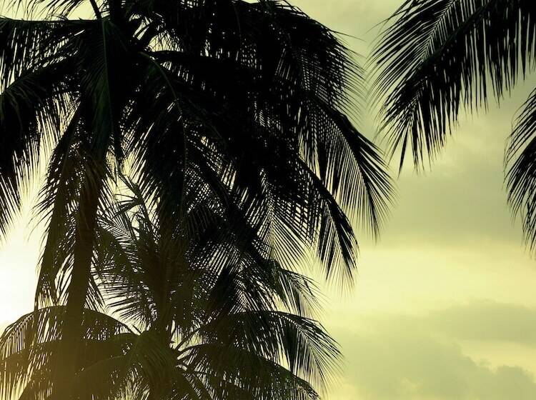 בית מלון כפרי Shangri La Rasa Sayang, Penang