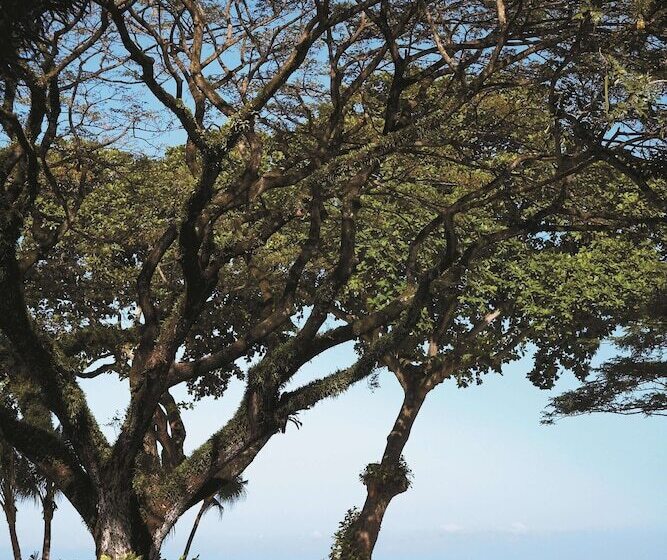 בית מלון כפרי Shangri La Rasa Sayang, Penang