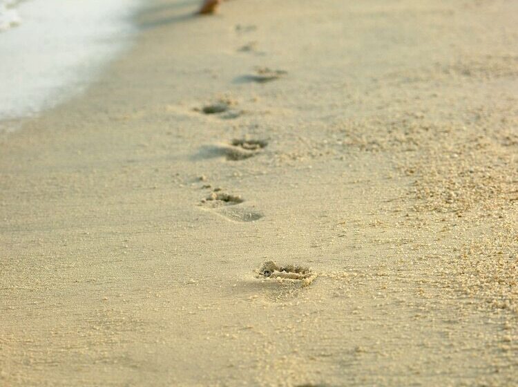 בית מלון כפרי Shangri La Rasa Sayang, Penang