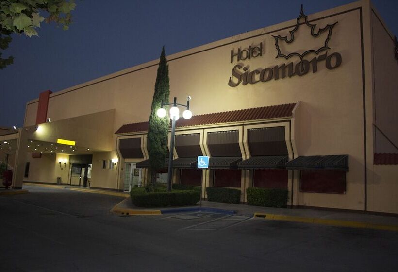 هتل Sicomoro