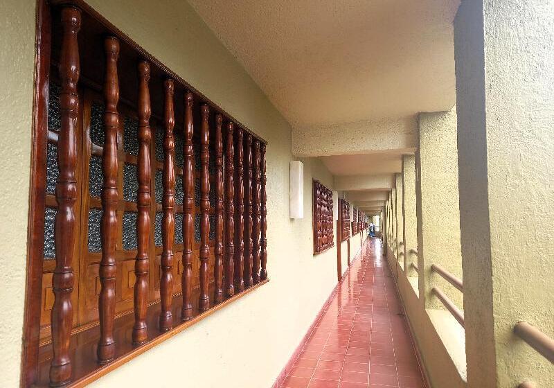 Отель Suites Colonial