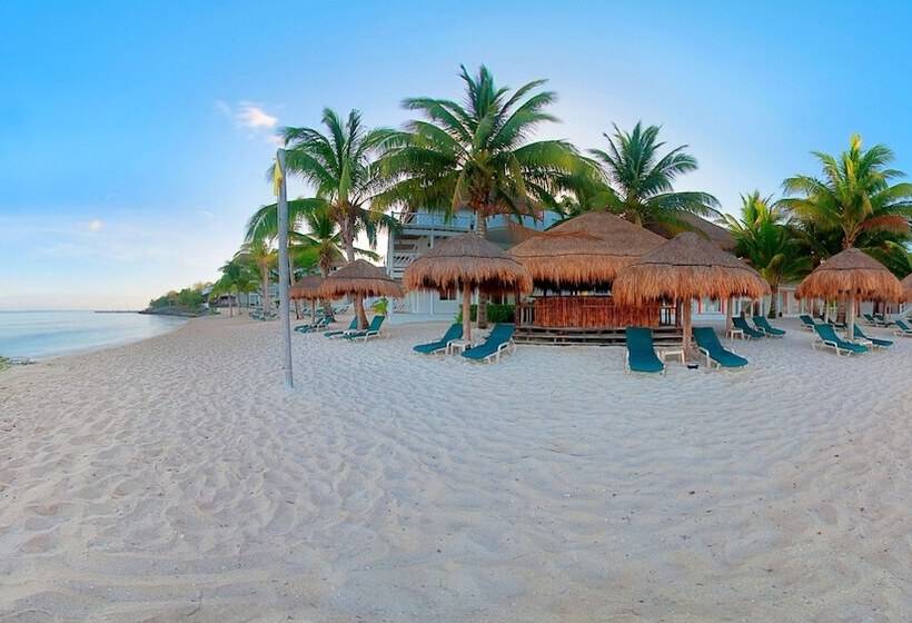 فندق Sunscape Sabor Cozumel