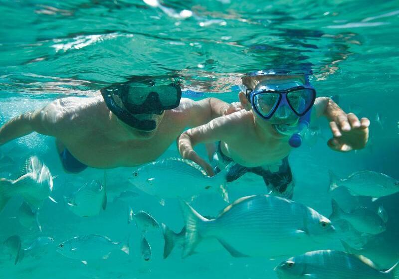 فندق Sunscape Sabor Cozumel