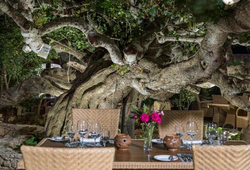 هتل Ta' Cenc & Spa