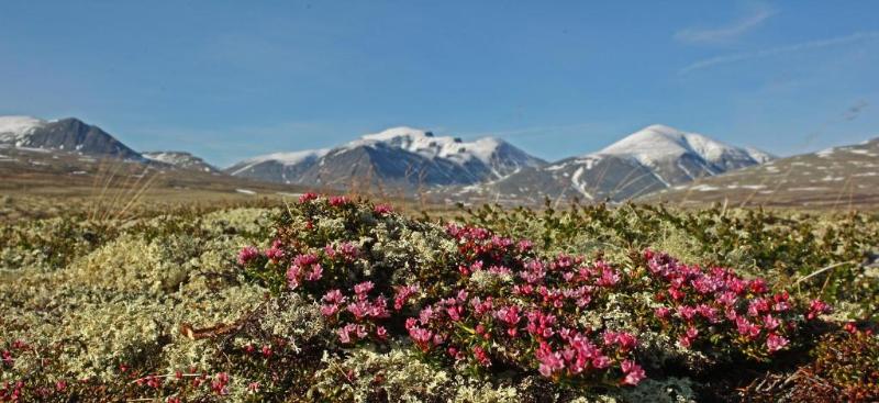 Thon Partner Hotel Otta