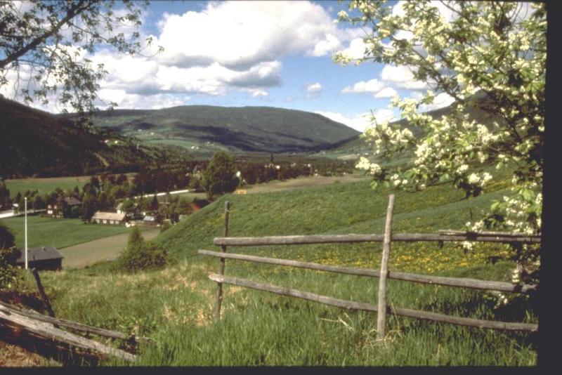 Thon Partner Hotel Otta