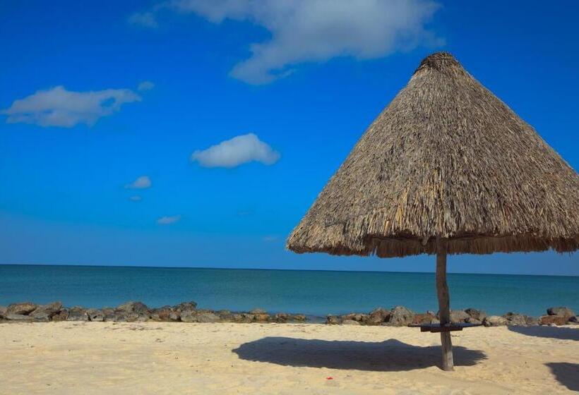 هتل Tucan Siho Playa